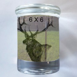 Design 521184  Image