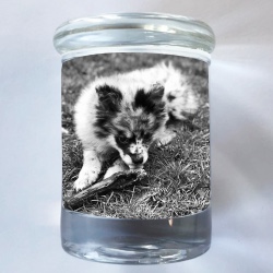 Design 573354  Image