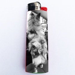 Design 573355  Image