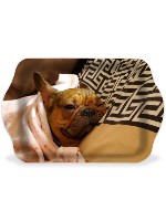 Design 580942  Image
