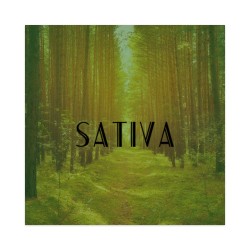 Design 594865  Image