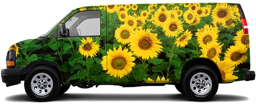 Design 664654