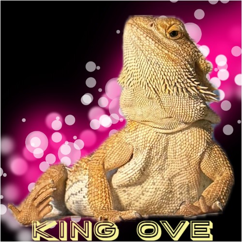 Design 686831 Stickers Image