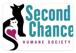 Design 411309 Custom Nametags Image