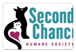 Design 411310 Custom Nametags Image