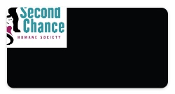 Design 411314 Custom Nametags Image