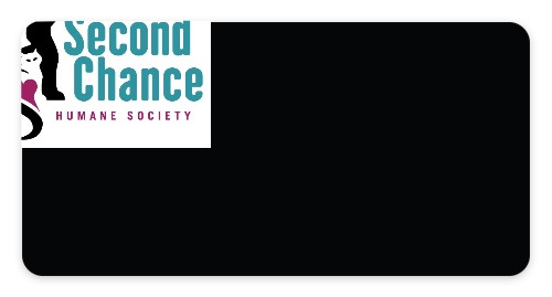 Design 411314 Custom Nametags