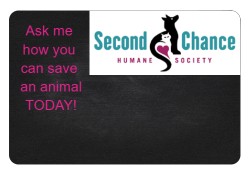 Design 411407 Custom Nametags Image