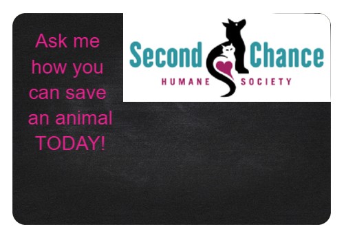 Design 411407 Custom Nametags