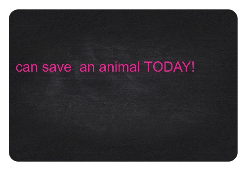 Design 412774 Custom Nametags