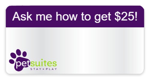 Design 478967 Custom Nametags