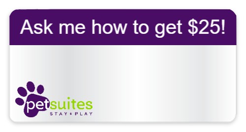 Design 478968 Custom Nametags