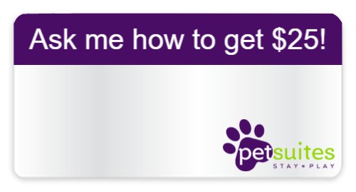 Design 483232 Custom Nametags