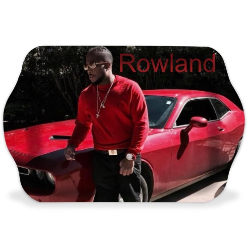 Design 528393 Rolling Trays