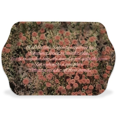 Design 528406 Rolling Trays