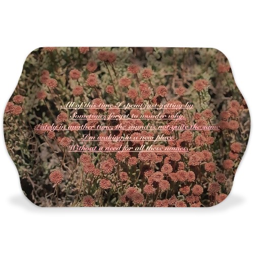 Design 528408 Rolling Trays Image