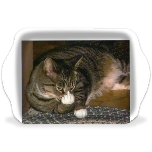 Design 532279 Rolling Trays