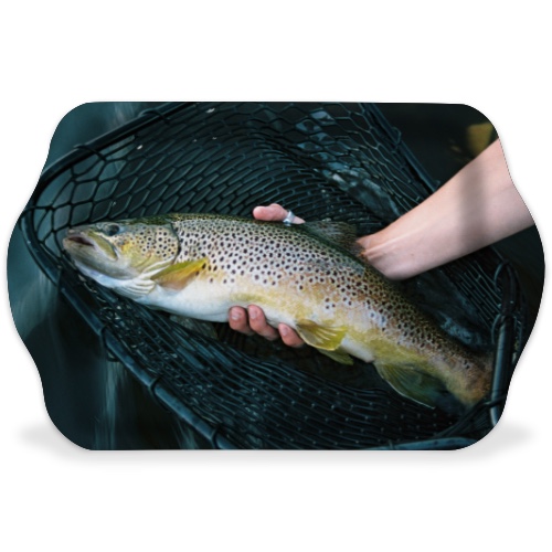Design 548877 Rolling Trays