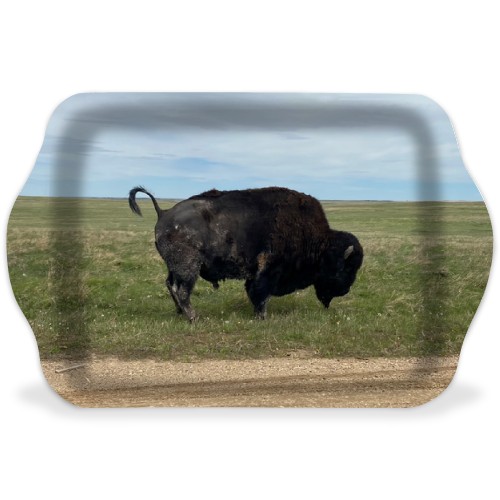 Design 548950 Rolling Trays