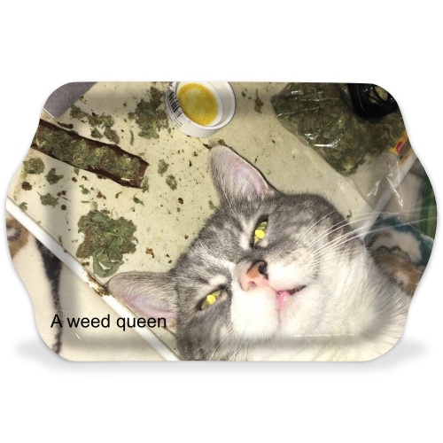 Design 548953 Rolling Trays