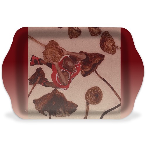 Design 550750 Rolling Trays