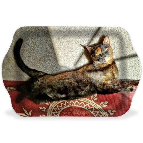 Design 551034 Rolling Trays