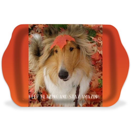 Design 551534 Rolling Trays