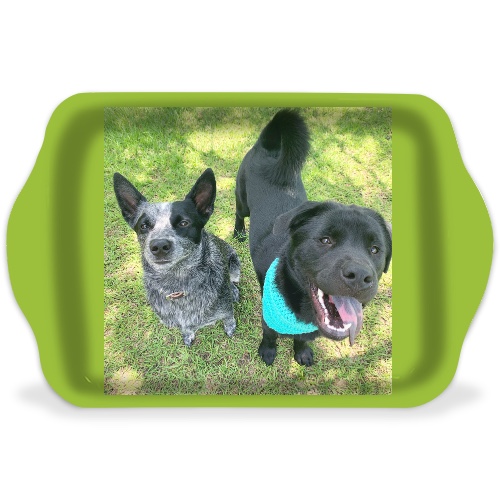 Design 551892 Rolling Trays Image