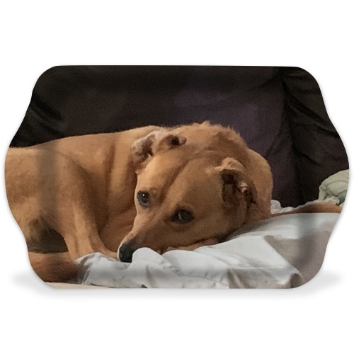 Design 552583 Rolling Trays