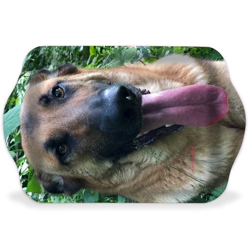 Design 555606 Rolling Trays Image