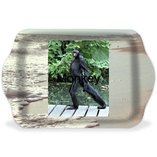 Design 557135 Rolling Trays Image