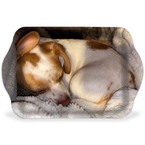 Design 557157 Rolling Trays Image