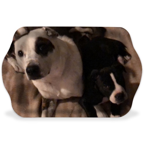 Design 557274 Rolling Trays