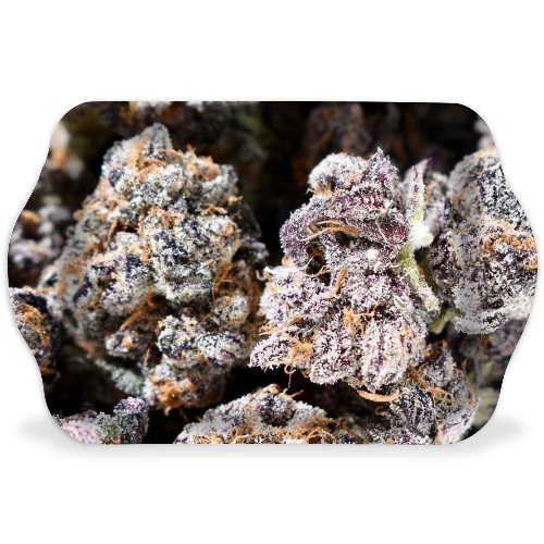 Design 563111 Rolling Trays