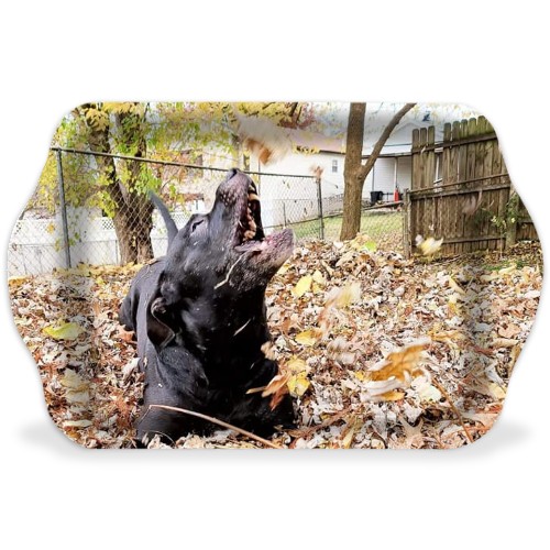 Design 565942 Rolling Trays Image