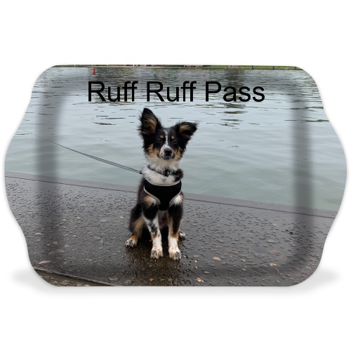 Design 569044 Rolling Trays Image