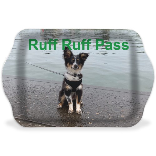 Design 569090 Rolling Trays