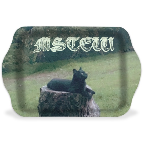 Design 569241 Rolling Trays