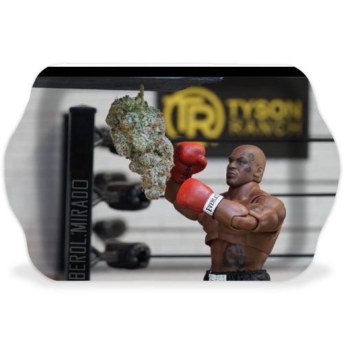 Design 569735 Rolling Trays Image