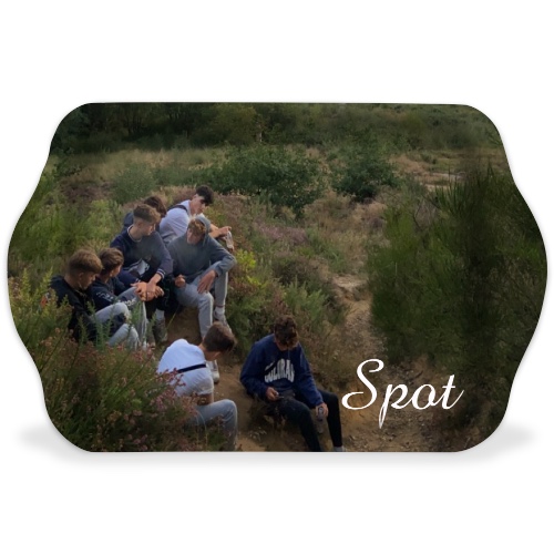 Design 570438 Rolling Trays