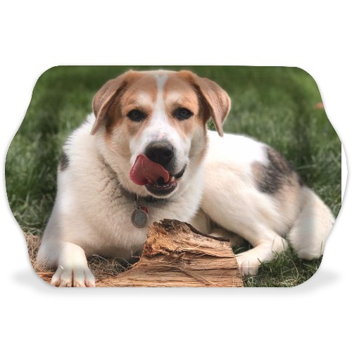 Design 570540 Rolling Trays