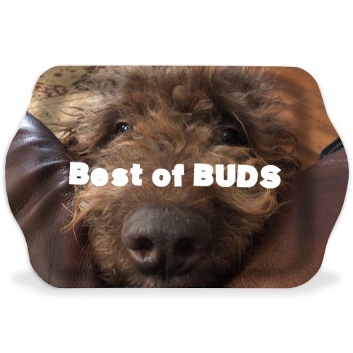 Design 570624 Rolling Trays