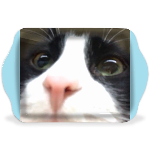 Design 570705 Rolling Trays Image