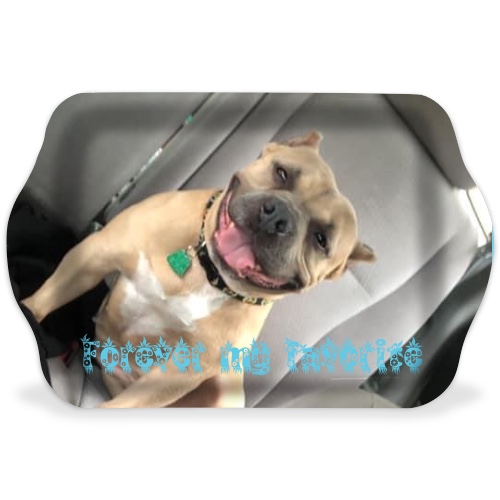 Design 571053 Rolling Trays