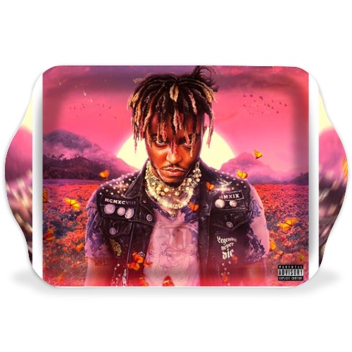 Design 571494 Rolling Trays