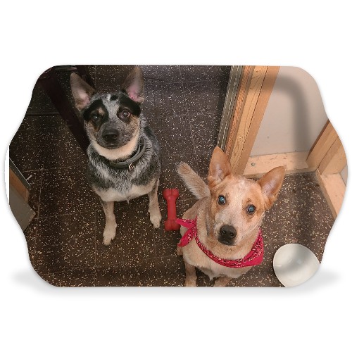 Design 573298 Rolling Trays