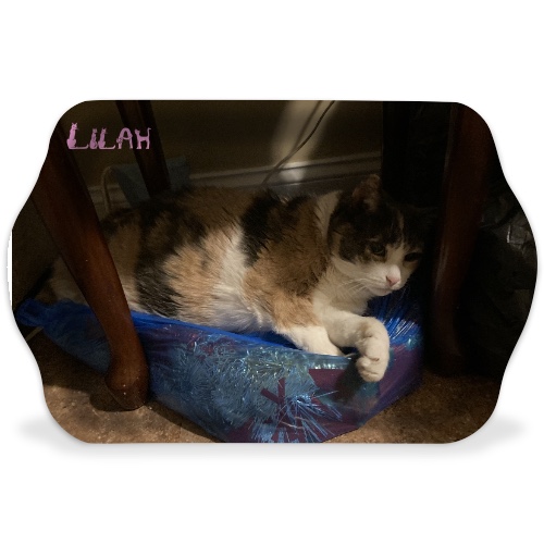 Design 573539 Rolling Trays
