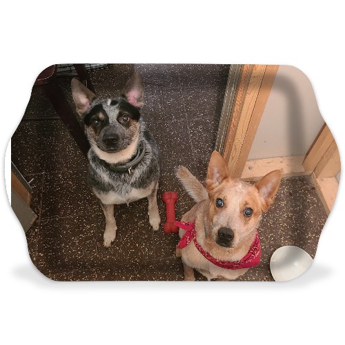 Design 574338 Rolling Trays