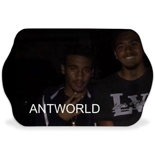 Design 575694 Rolling Trays Image