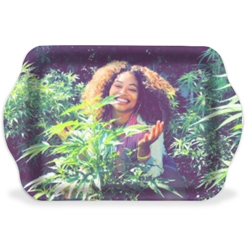 Design 576951 Rolling Trays